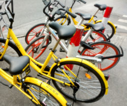Two Ofo bikes and two Mobikes
